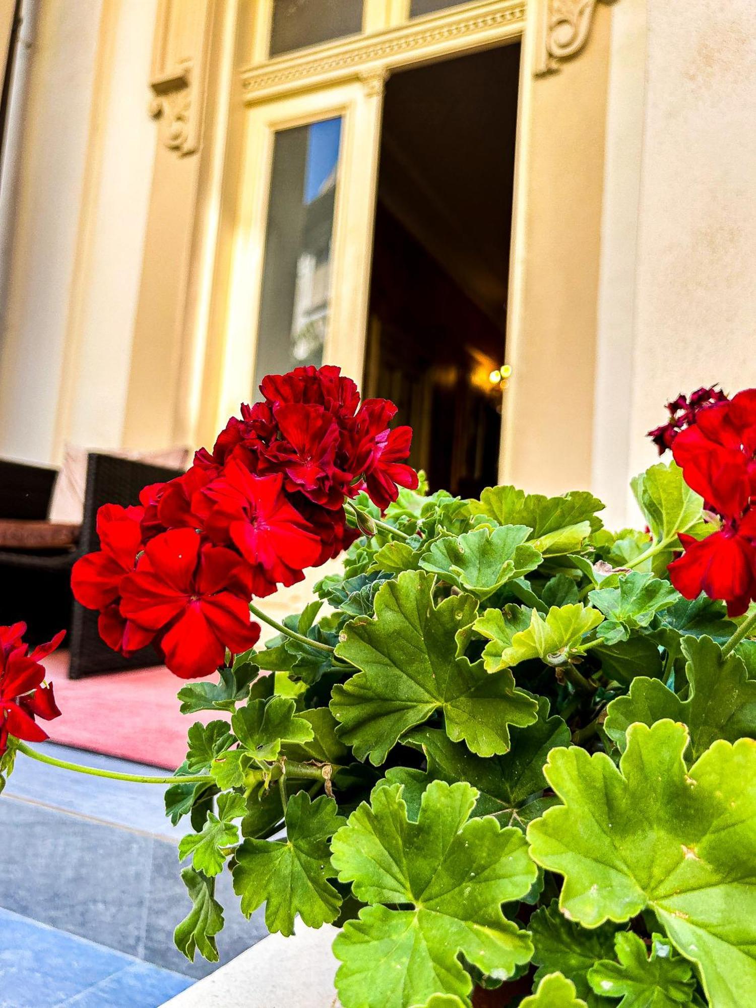 Hotel Boutique Casa Vermont Bukurešť Exteriér fotografie